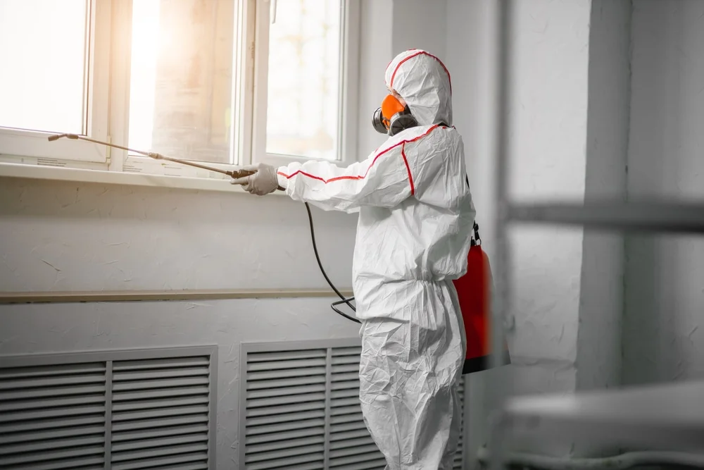 Professional mold remediation services in Butte City, CA
